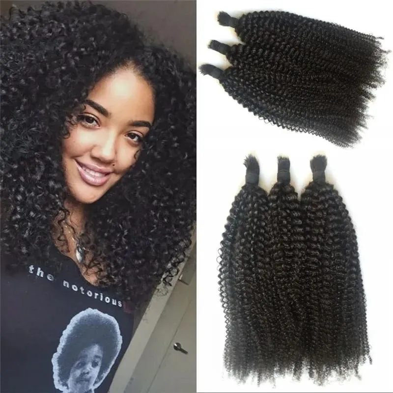 Cheveux Afro crépus bouclés en vrac pour tresser des cheveux humains brésiliens en vrac 3 pièces/lot pour afro-américain FDSHINE