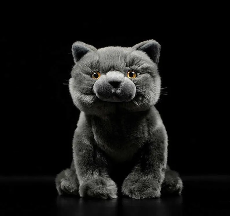 Simulation mignon British Shorthair chat Tabby Felinae peluche douce peluche chaton gris vraie vie Animal pour enfant nouvel an cadeau Q01473392