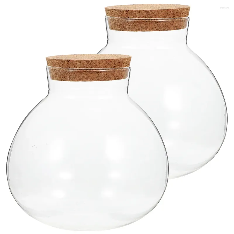 Vaser 2st Practical Glass Bottle sfärisk terrarium ekologiska mikrolandskap trä bas kupol