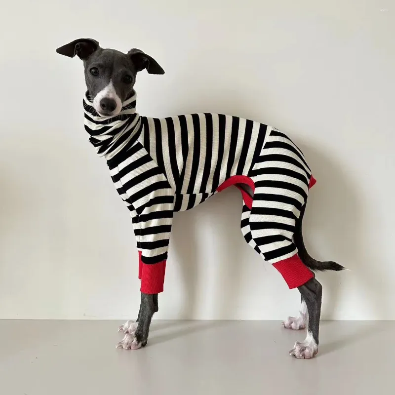 Abbigliamento per cani Levriero italiano Abbigliamento a quattro zampe a righe Morbido ed elastico Whippet Inverno caldo