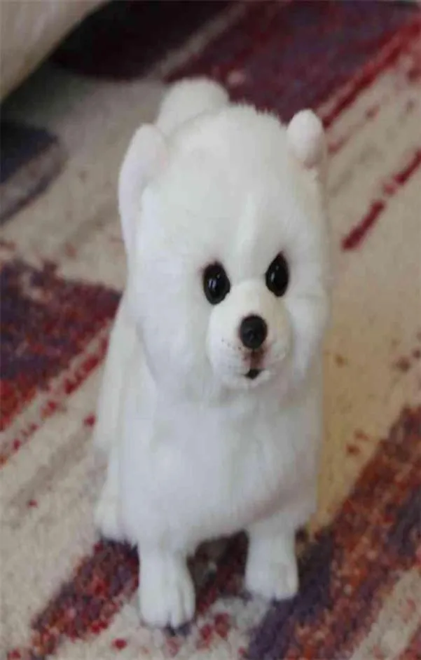 Pomerania peluche perro muñeca simulación animal relleno súper realista para mascotas Kawaii regalos de cumpleaños para niños 2107289666424