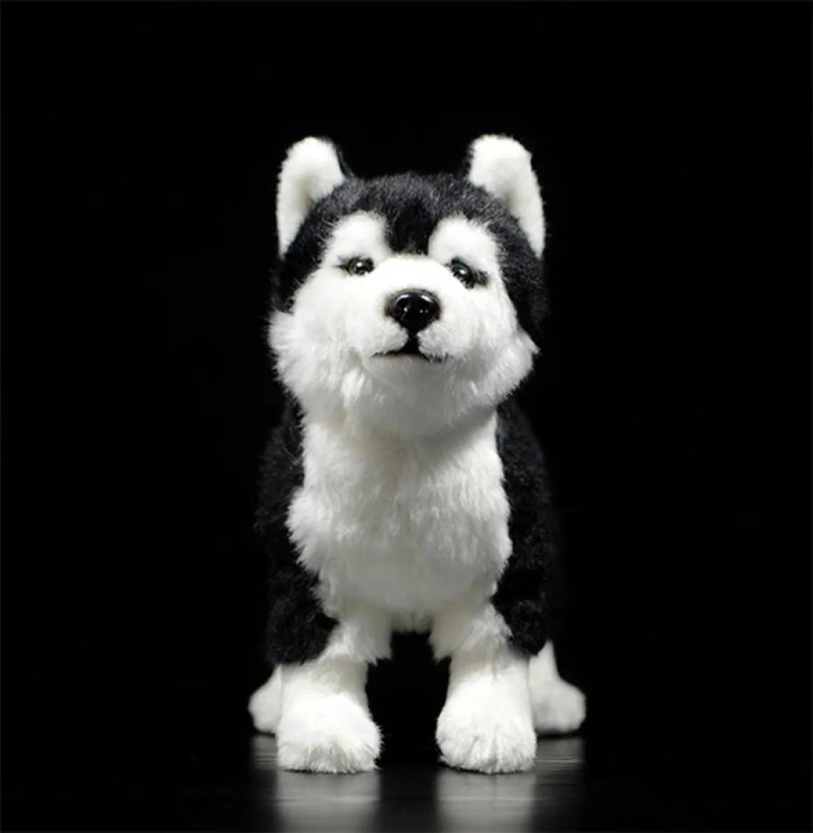 25 cm großer Sibirischer Husky-Hund, Plüschtier, braun, blaue Augen, lebensecht, Alaskan Malamute, Stofftier, Spielzeug, Weihnachtsgeschenke, 2012121375546