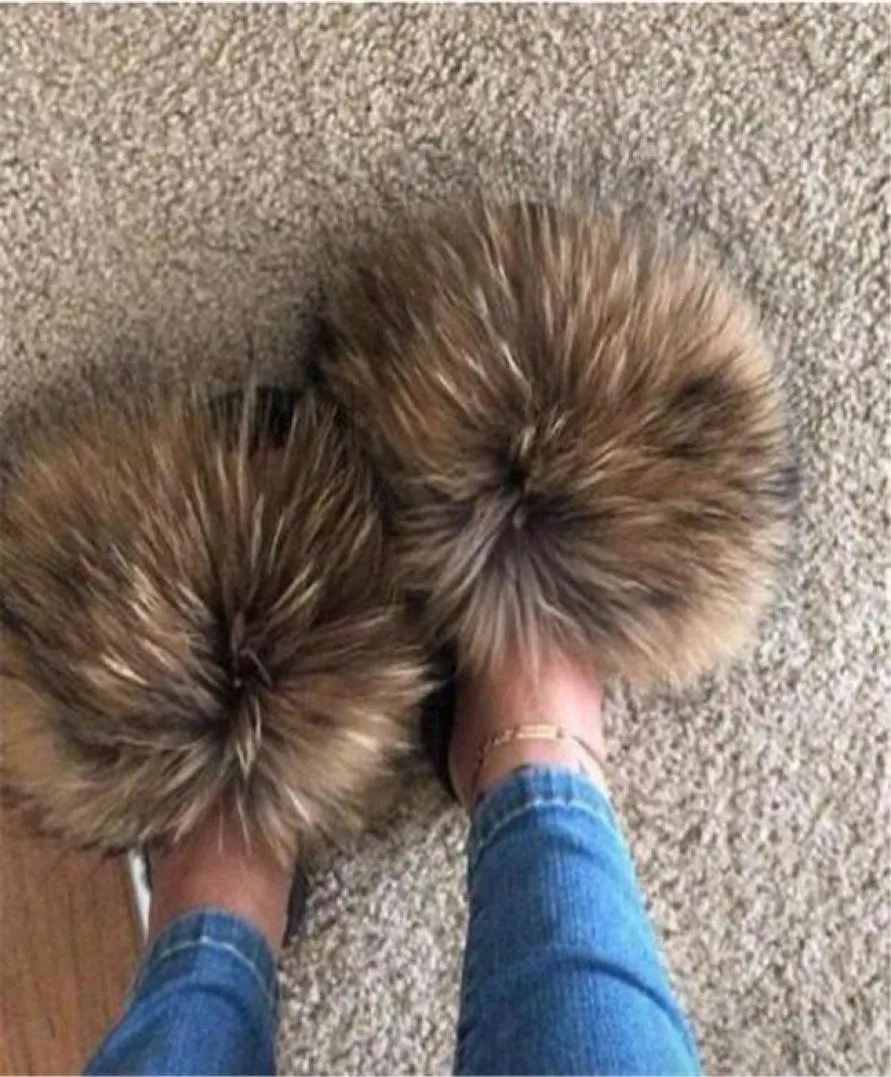 Raccoon slides store