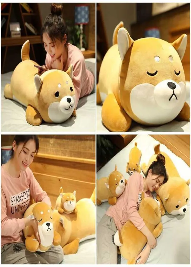 Chat écarlate mignon gros Shiba Inu chien en peluche doux Kawaii poupées dessin animé oreiller beau cadeau pour bébé animaux en peluche peluches Q07277477532