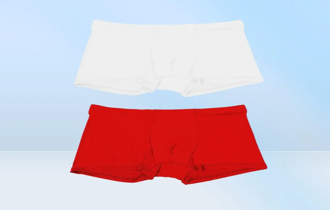 Unterhosen 2021 Sommer Eis Seide Männer Unterwäsche Nahtlose Transparente Boxershorts Ultra Dünne Sheer Atmungsaktive Bequeme Höschen2126075