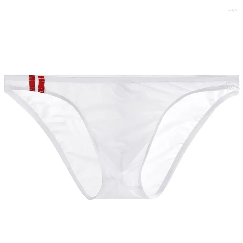 Underpants Men's Sexy Breathable Underwear See Through Briefs Low Rise Lingeri T-Back G-String