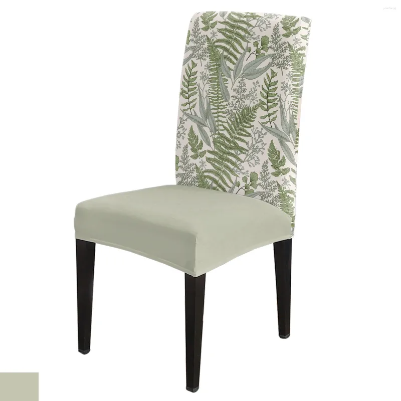 Pokrywa krzesełka Zespół zioła zabytkowe Zestaw Kuchnia Spandex Siet Fotela Dekorca domu