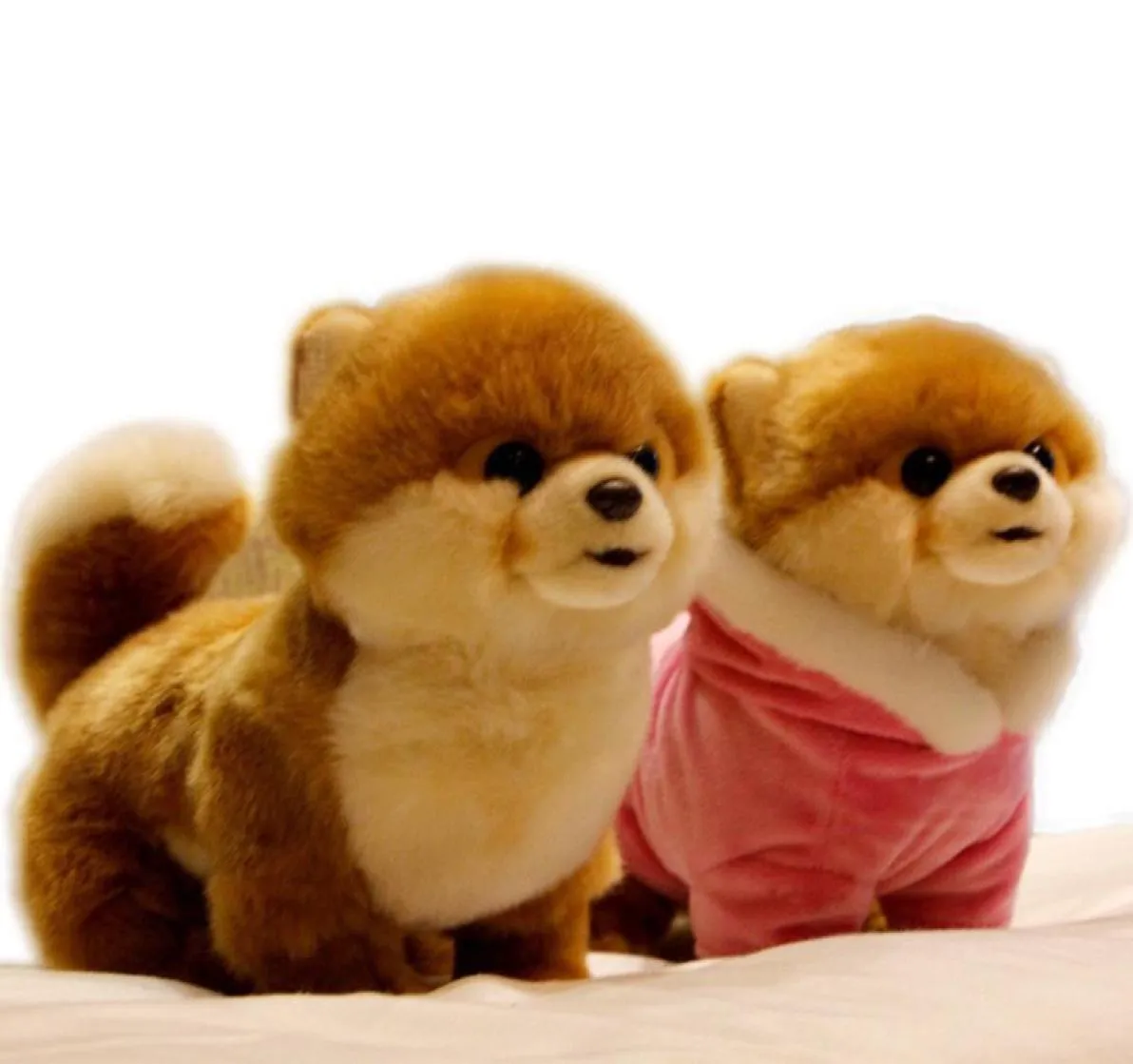 Qualité réaliste animaux de compagnie en peluche jouet Mini poméranien maltais chien Shiba Inu poupée pour enfants fille cadeau décoration DY506599415392