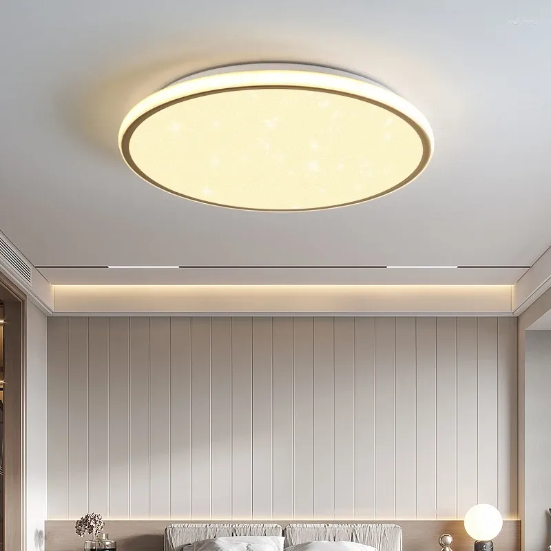 Plafoniere LED moderne per la decorazione domestica Camera da letto Soggiorno Sala da pranzo Corridoio Apparecchi di illuminazione per interni sospesi