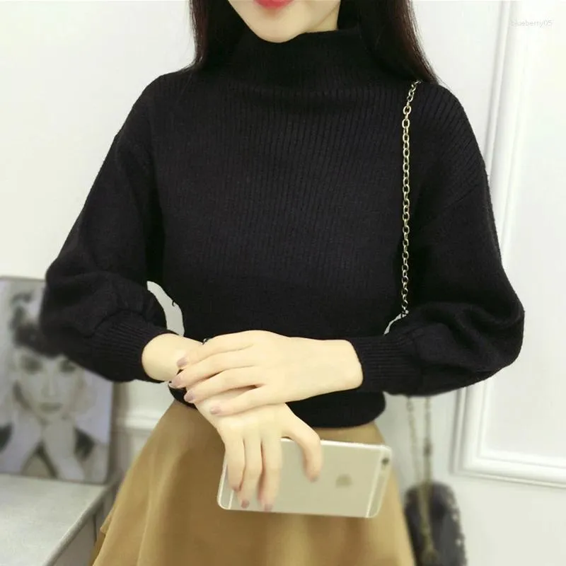 Women's Sweaters Solid Color Long Sleeved Top Autumn And Winter Bishop Sleeve Bat Shirt Korean Version Loose Comfortable