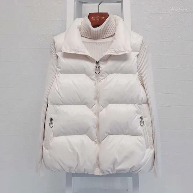 Gilet da donna 2024 Autunno Inverno Giù Gilet di cotone Coreano Allentato della ragazza Versatile Cappotto con colletto alla coreana Tempo libero all'aperto Bianco