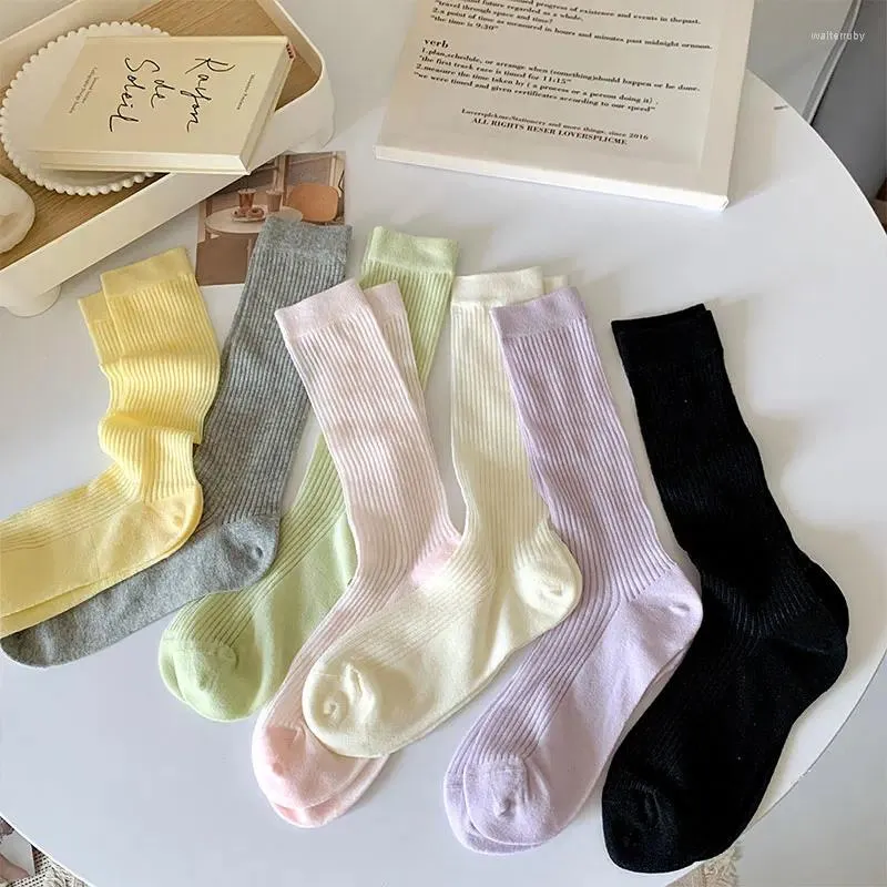 Chaussettes à bulles pour femmes, amples, tendance, longues, unies, blanches, douces, mi-tube, maille coréenne, dentelle respirante, créative