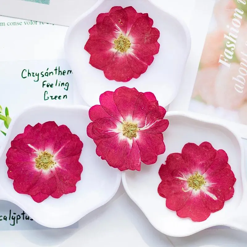 Decoratieve bloemen 3-4,5 cm / 24 stuks natuurlijke kleur Chinese rozenkop geperst droge bloemblaadjes DIY gezicht make-up druppellijm tafellamp bladwijzer