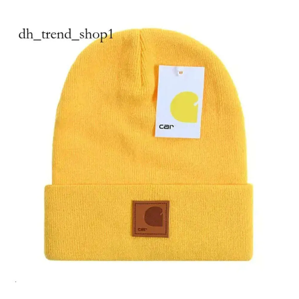 Carhartt Knitted Beanie Hat for Men and Women, in 23 Colors for Winter