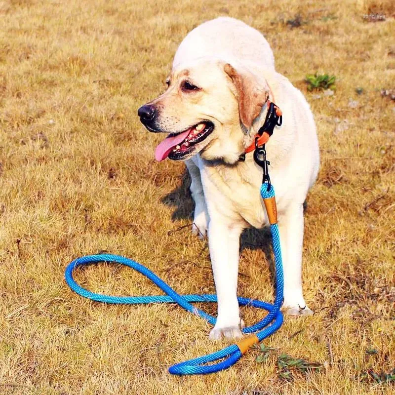 Hundhalsar koppel för nylon husdjur leashes träning som körs medium stora collas