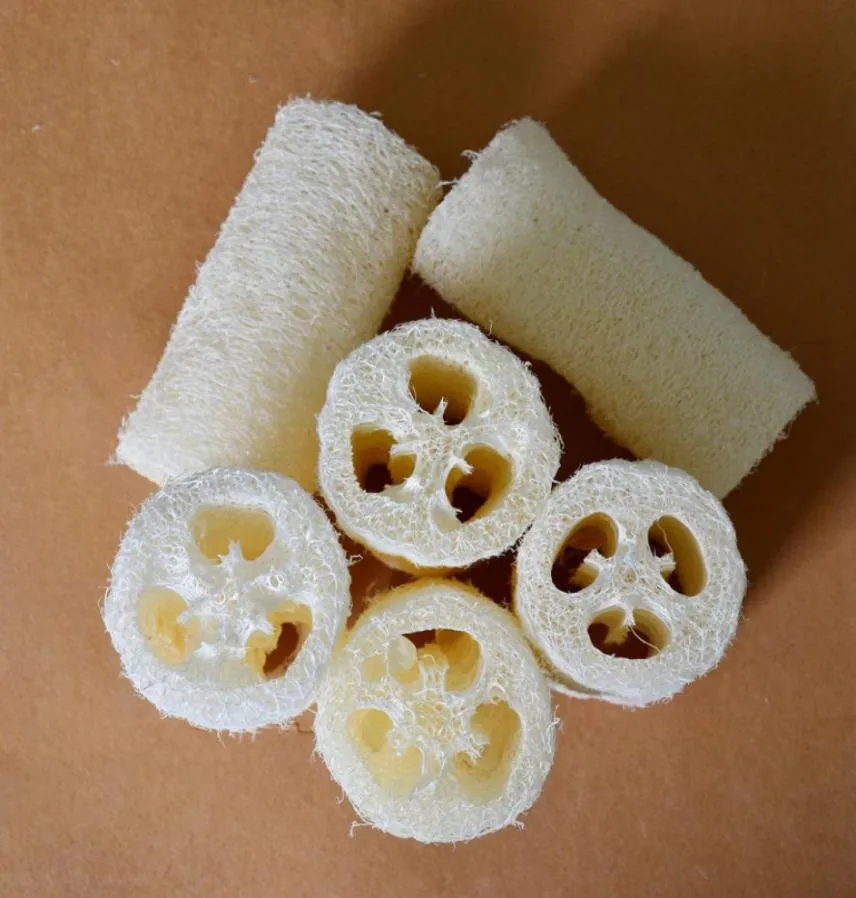 Loofah Luffa Loofa Cuidados com o corpo Peeling Esponja de massagem para banho e utensílios de cozinha 285 S26384493