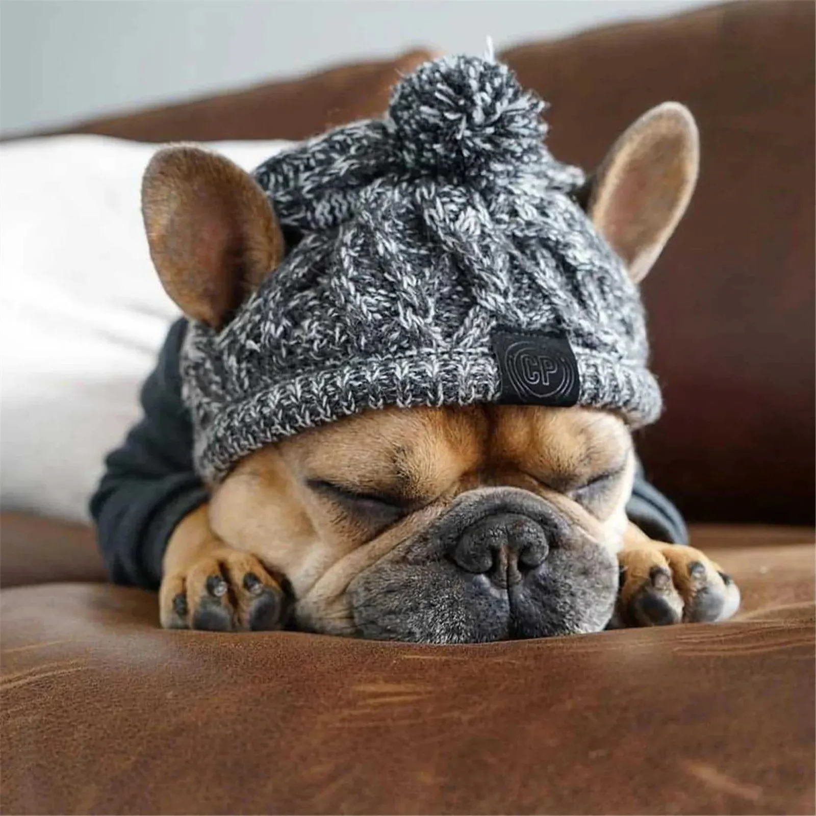 Winter Warme Hundemützen Winddicht Stricken Französische Bulldogge Hut Für Hunde Chihuahua Hut Flauschigen Ball Welpen Zubehör Haustier Hüte 240108