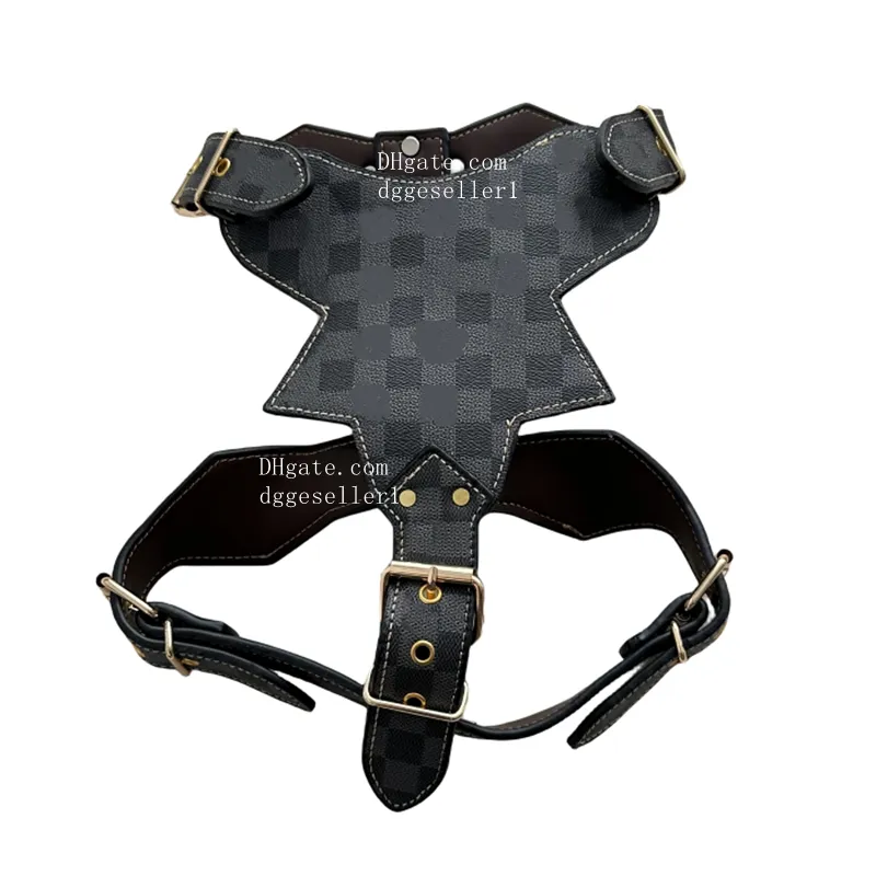 Classic Letter Pattern Designer Rogue Royalty Harness And Leash Set Durable & Adjustable Leather