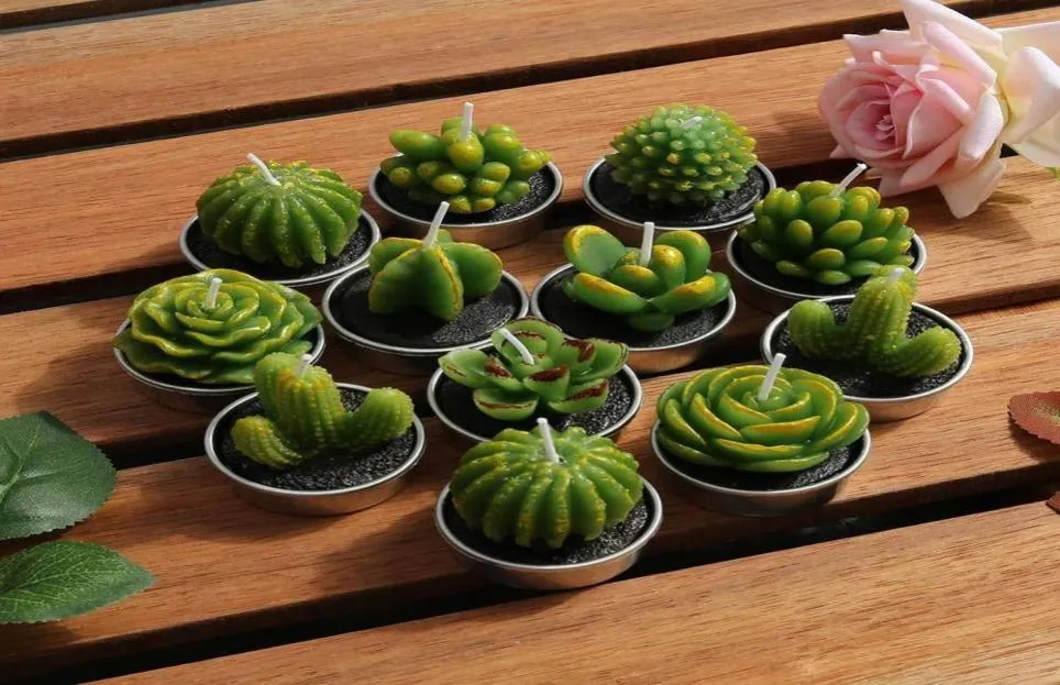 12pcs cactus bougie mignon mini set artificiel succulent plantes bougies home décoration bougie the the light ysmas don5764677