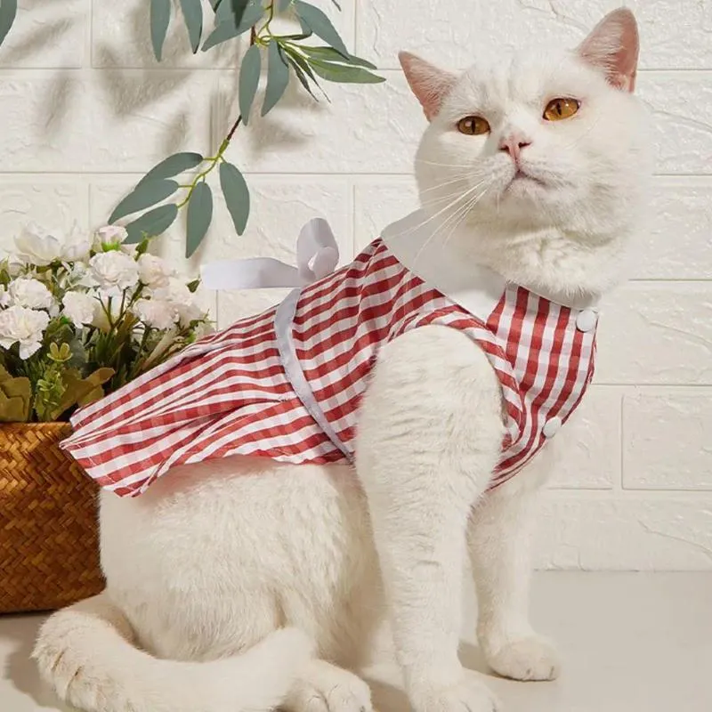 Trajes de gato vestidos de verão bowknot decoração turn-down colarinho filhote de cachorro saia xadrez botão para baixo algodão gatinho vestido pogal adereços uso diário