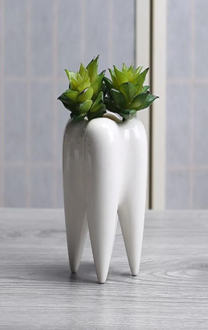 歯の形状セラミックポット多肉植物プランターミニ白いかわいい庭の花の飾り屋内オフィスデスク装飾4416045