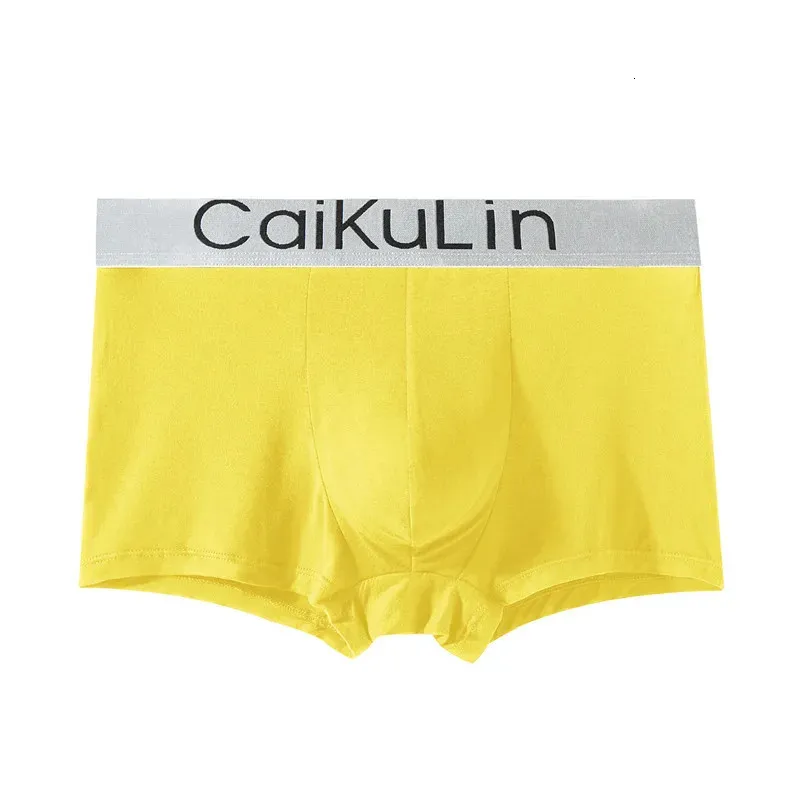 Men's Briefs Kids Auto Car Colorful Cartoon Men's Underwear
