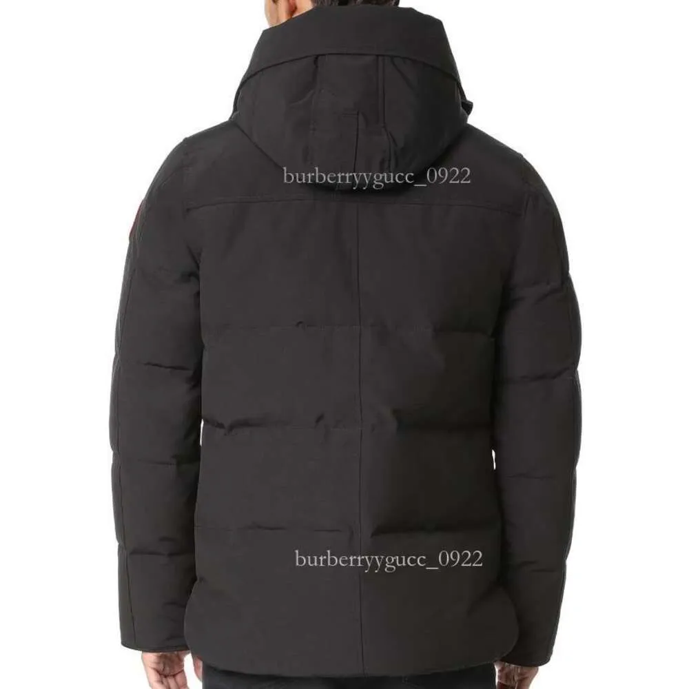 Piumino piumino Designe Piumino invernale da uomo corto con collo in pelliccia ispessito caldo casual outdoor piumini caldi neri L6