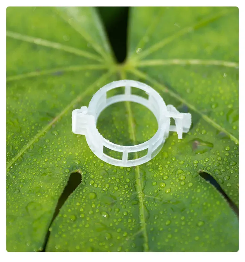 Plant Support Clips Garden Support Clips Plant Clips for Support, Grape Vine, Tomato Vine, Vegetables Plants Trellis Clips to Grow Upright Makes Plants Healthier