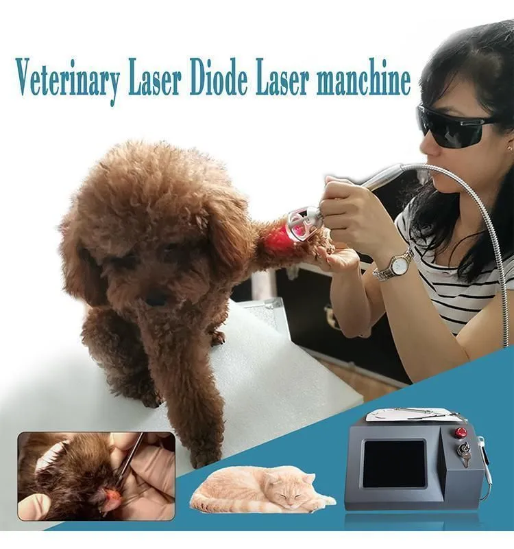 Veterinary Ultrapulse Pet Surgery 980nm Laser Machine For Therapy Veterinary 980 Diode Laser