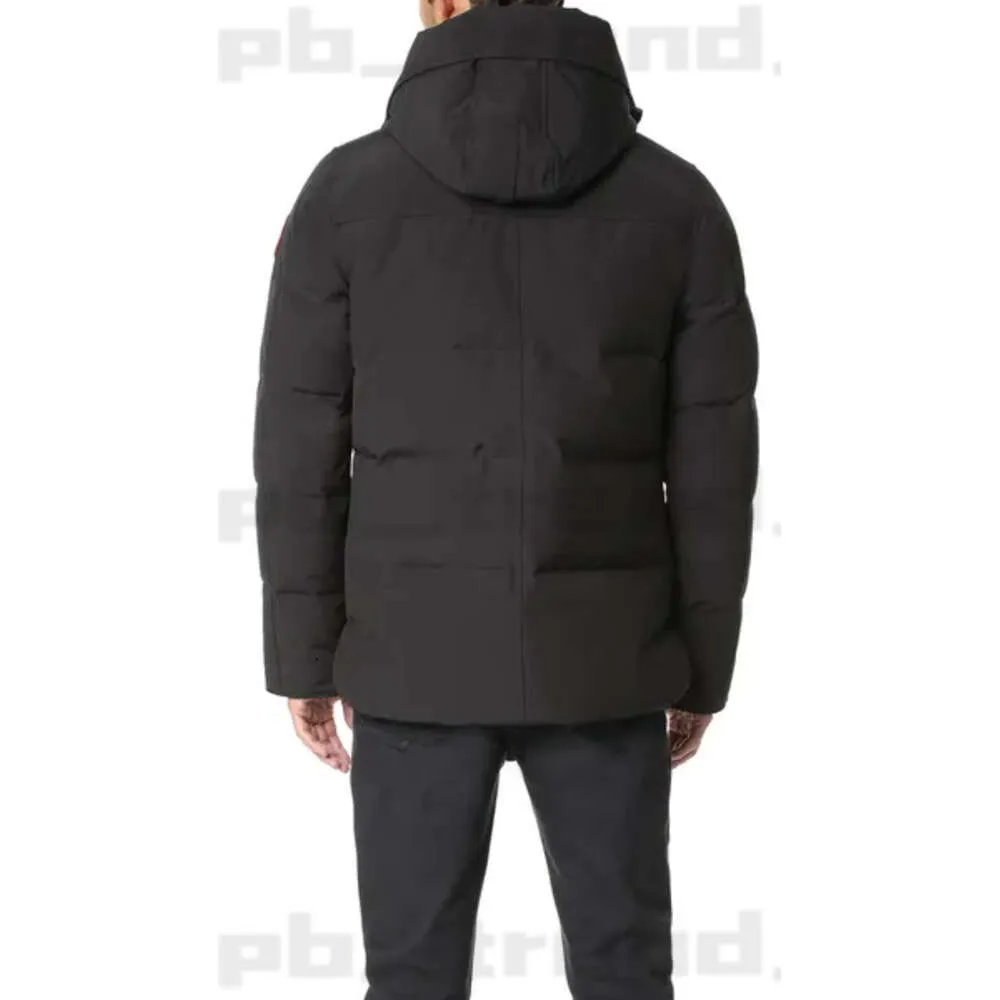 Canda Goose Down Puffer Jackets Designer Puffer Outdoor Windbreaker Hooded Fourrure Manteau Down Jacka Coat Parka Doudoune Canada 8924