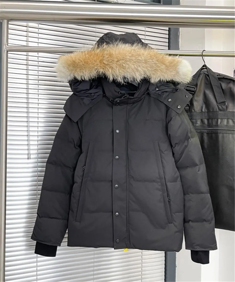 Black jacket mens short winter jackets 2024 goose down men's and women's coats mink collar couple coats winter fashion outdoor thickening warm custom coats z6