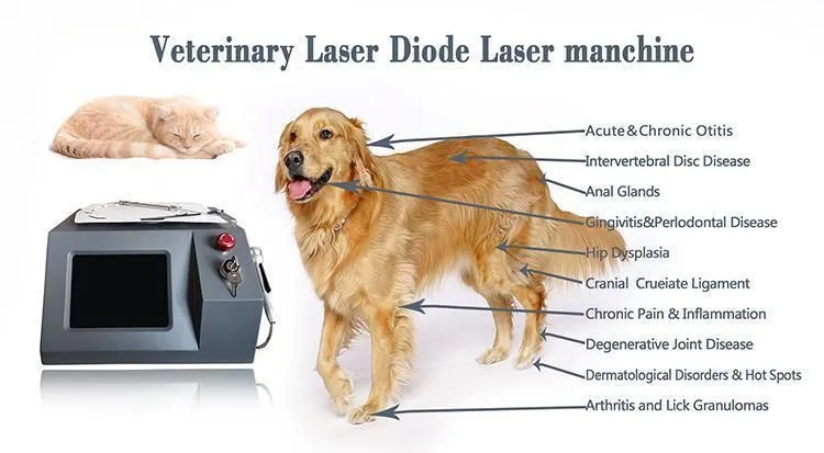 Veterinary Ultrapulse Pet Surgery 980nm Laser Machine For Therapy Veterinary 980 Diode Laser
