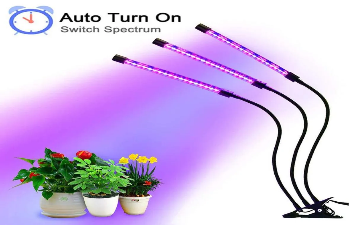 LED GROW LIGHT 12V Fitolampy LED -fytolampa för inomhus vegetabilisk blommanväxt tältlåda Fitolamp 60 LED 30W1857261