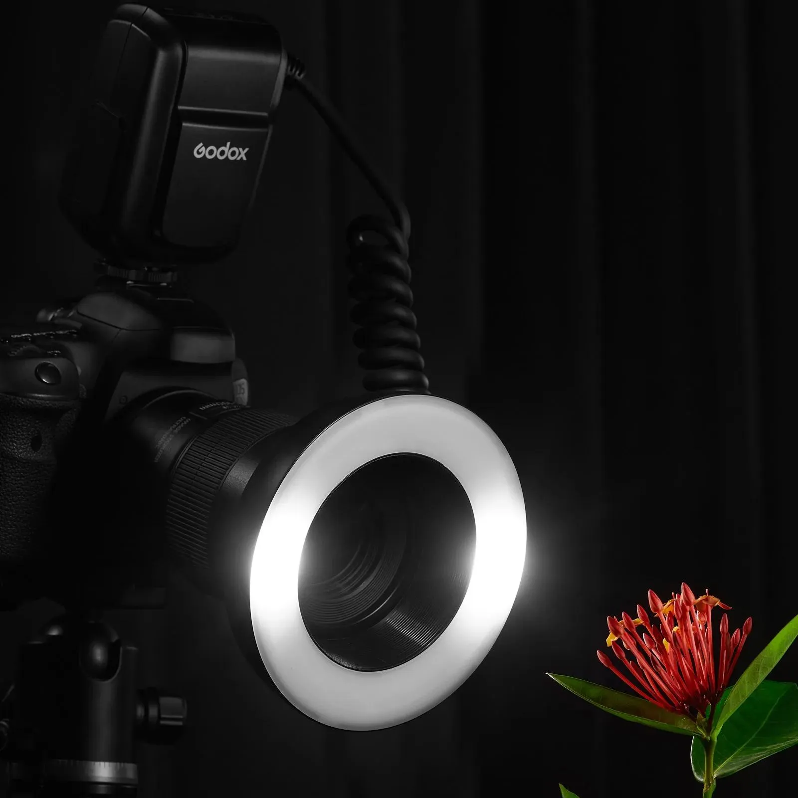 Godox LED Ring Light LR150 Black, 3000 to 6000K Color Temperature Price in  India - buy Godox LED Ring Light LR150 Black, 3000 to 6000K Color  Temperature online - Godox : VijaySales.Com