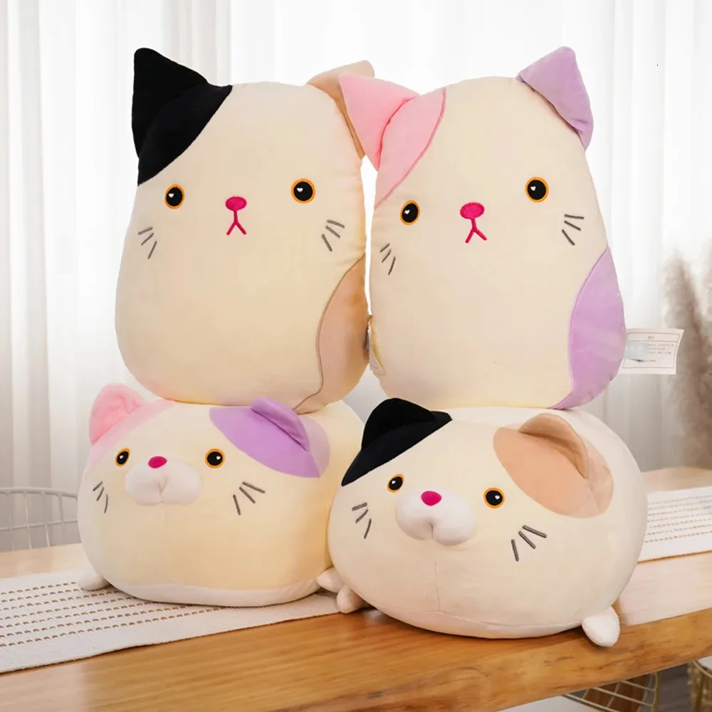 Nemuneko cat plush online