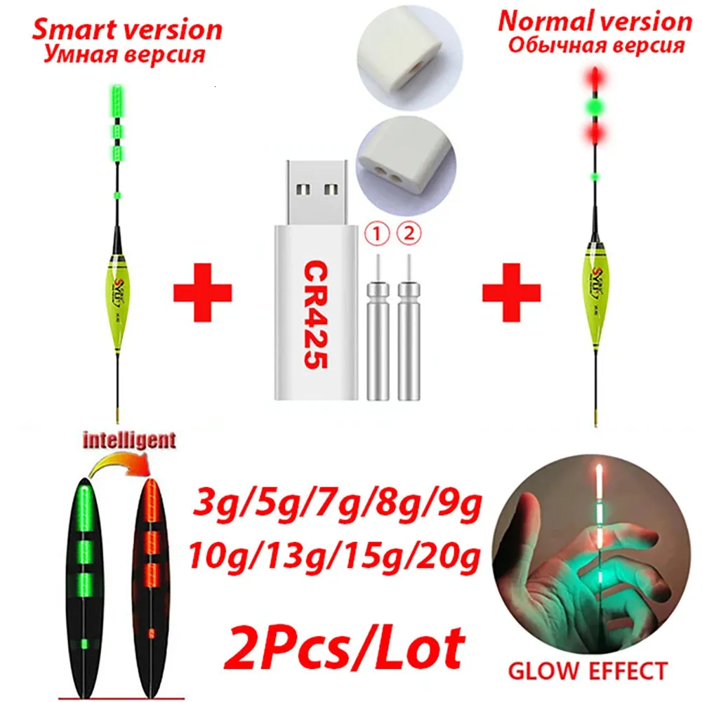 Galleggiante da pesca intelligente LED Galleggiante luminoso ordinario con caricatore ricaricabile CR425 Attrezzo da pesca 3g-20g Set Carpa notturna estiva 240112