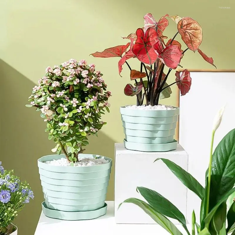 Vases Vase de grand diamètre résistant à l'usure, conception de ventilation, pas facilement déformable, pot de fleurs en plastique simple, respirant avec plateau