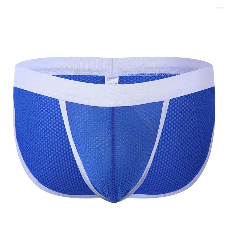 Underpants Sexy Mens Underwear Briefs Mesh Gay Penis Pouch Low Waist Men Panties Erotic Male