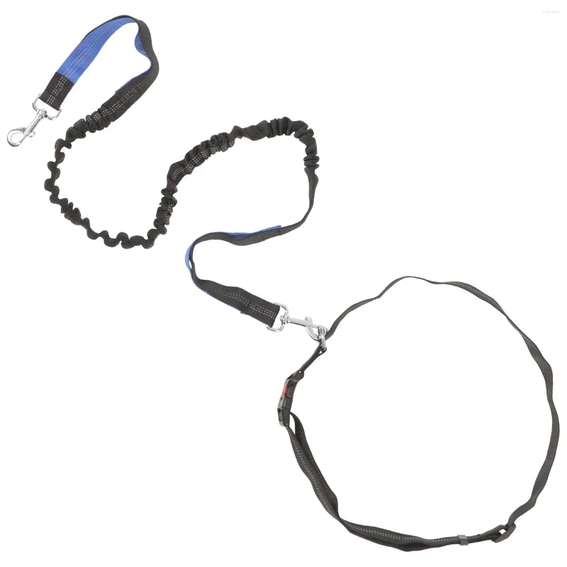 Colliers pour chiens, laisse mains libres, corde pour animaux de compagnie, ceinture de marche allongée, Traction en Polyester, sangle de remorquage élastique