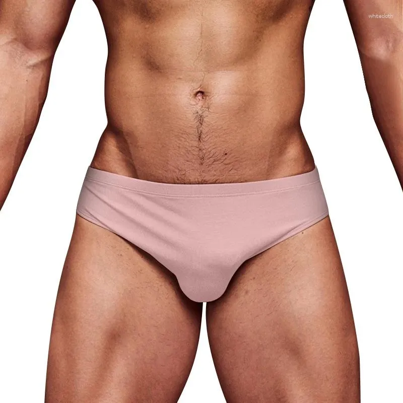 Underpants Men Panties Modal Sexy Underwear Man Briefs Gay Mens Brief Comfortable U Convex Soft Bikini Cueca Masculina AD7210