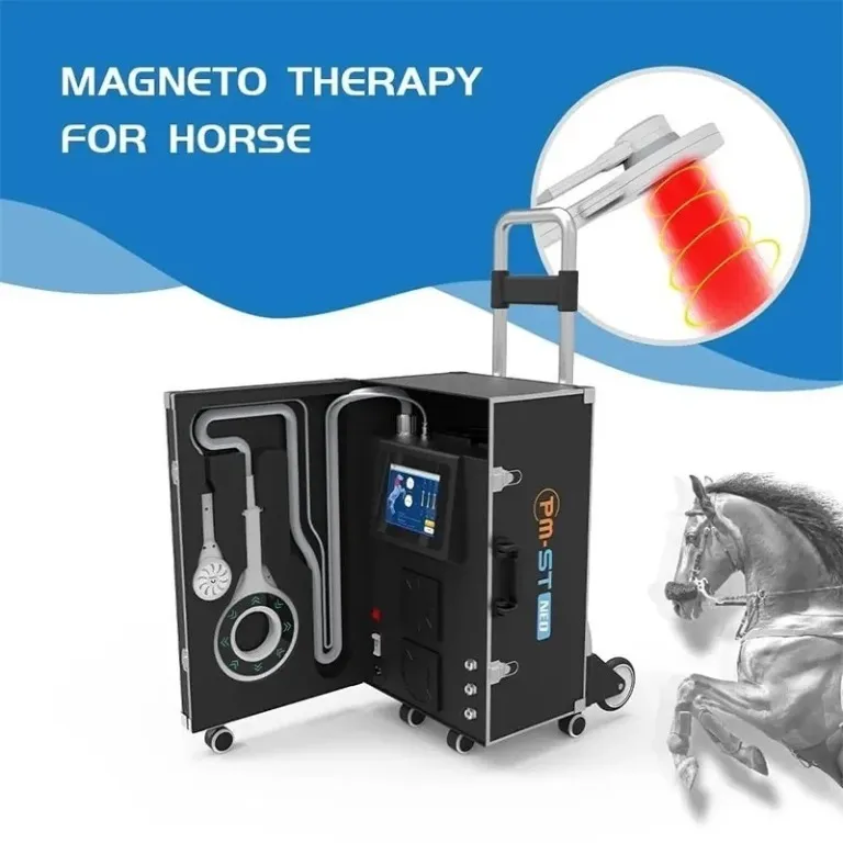 Equine Loop PEMF Physio Magneto VET pour les thérapies de traitement des chevaux, équipement de rééducation et de blessures633