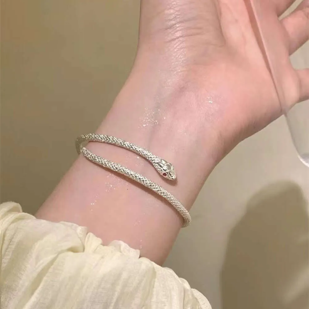 Guldpläterad Snake Bangle -armband för kvinnor Män Charm Infinity Diamond Tennis Cuff Armband Luxur Designer Jewelry Fashion Party Wedding Presents Girls 944