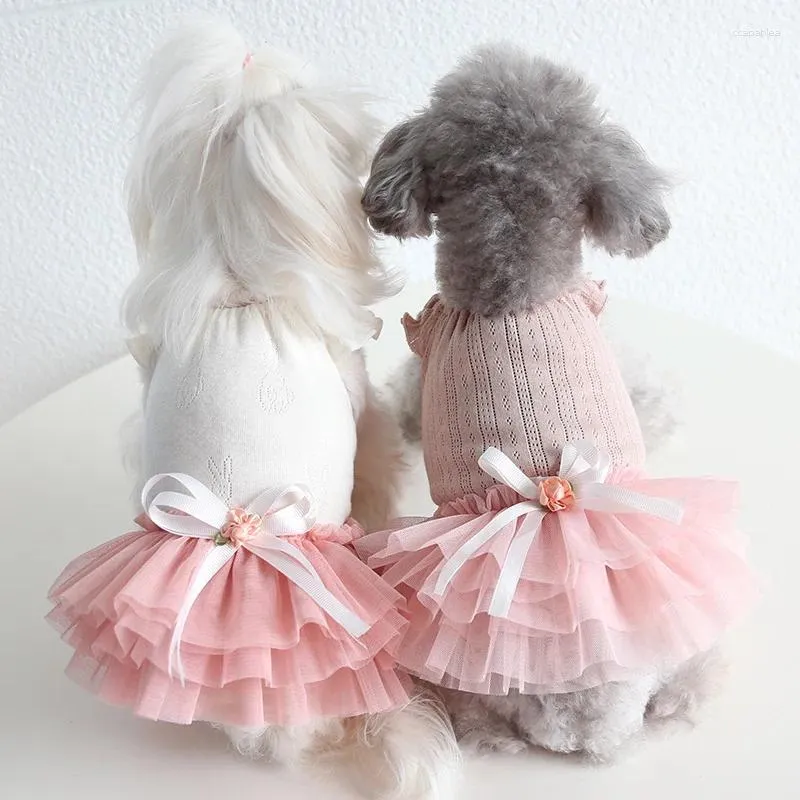 Hundkläder kläder sommar husdjur rosa spetsklänningar maltesiska bichon kläder pomeranian yorkies plaggdesigner chihuahua ropa perro