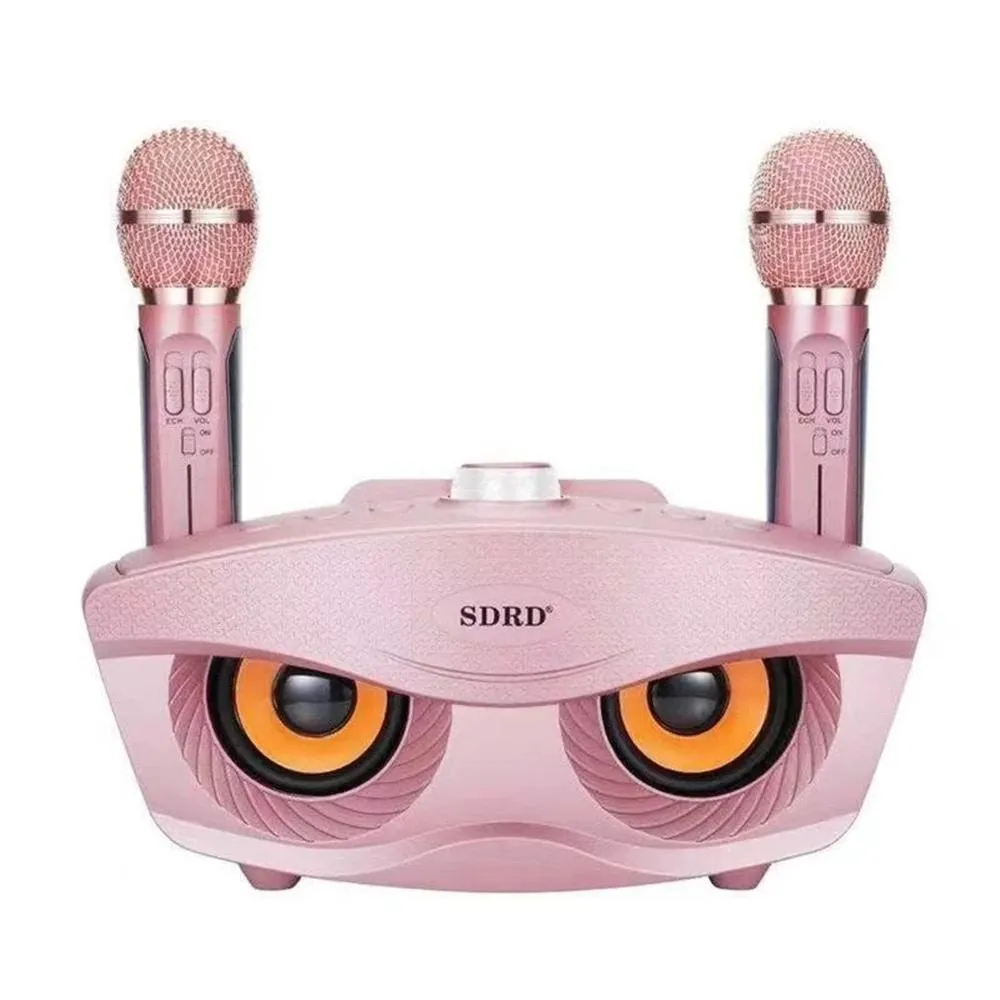 Microphones SD306 20W basse son famille KTV 2 en 1 Portable karaoké BT haut-parleur sans fil avec double Microphone à main hibou haut-parleurs vente en gros