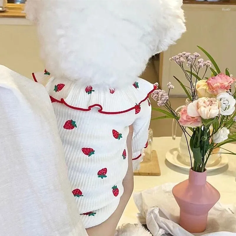 Vêtements pour chiens Bichon dentelle fraise vêtements pour animaux de compagnie Teddy été Schoner respirant chiot fruits gilet accessoires