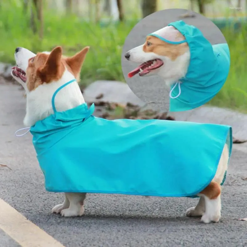 Cão vestuário jaqueta de chuva lavável capa de chuva cor brilhante em torno do pescoço chapéu prático borda transparente