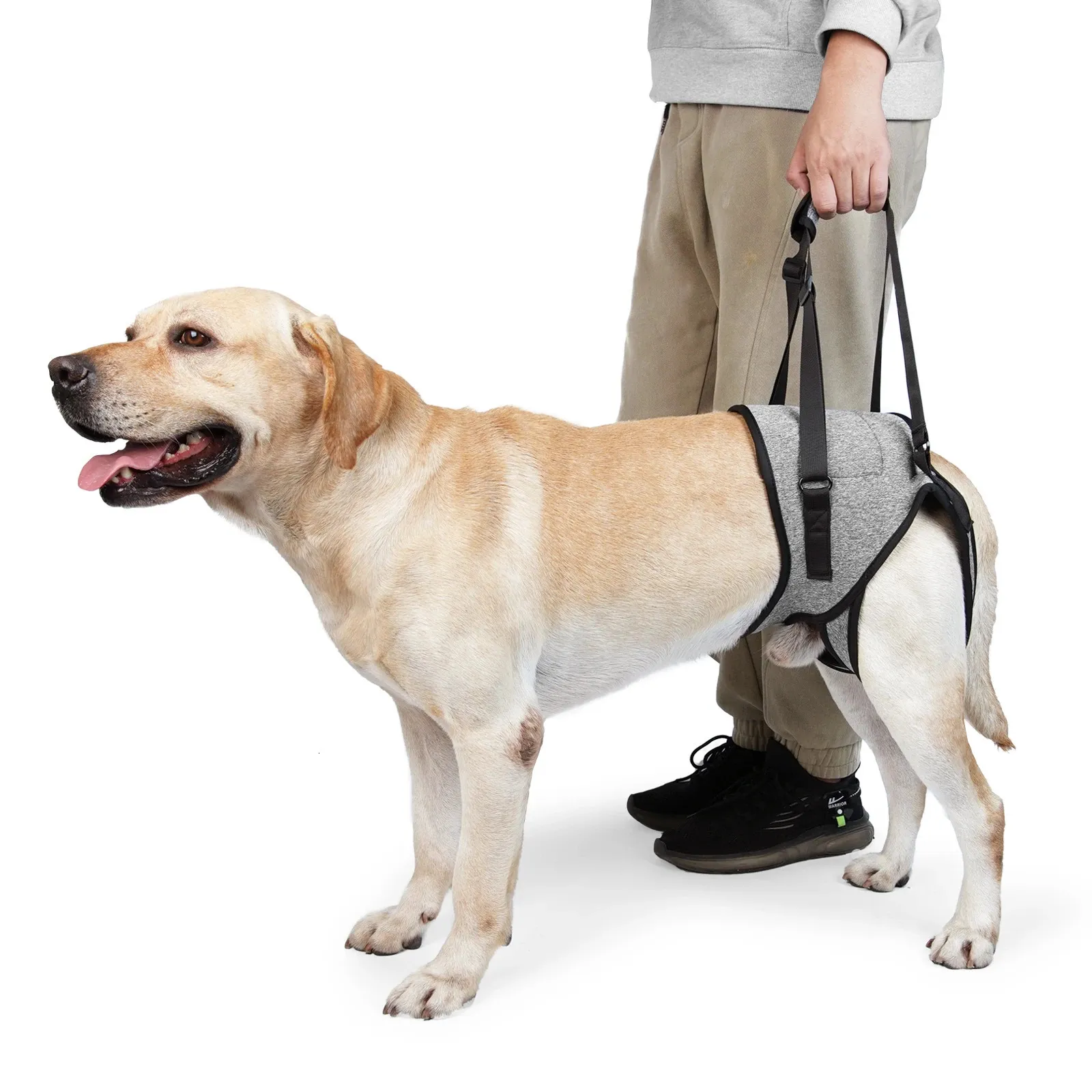 Uprząż do podnoszenia psów dla dużych psów miękki wyściełany regulowany psa z tyłu nogi do starych niepełnosprawnych obrażeń stawu Pet Old Noge Wsparcie 240115