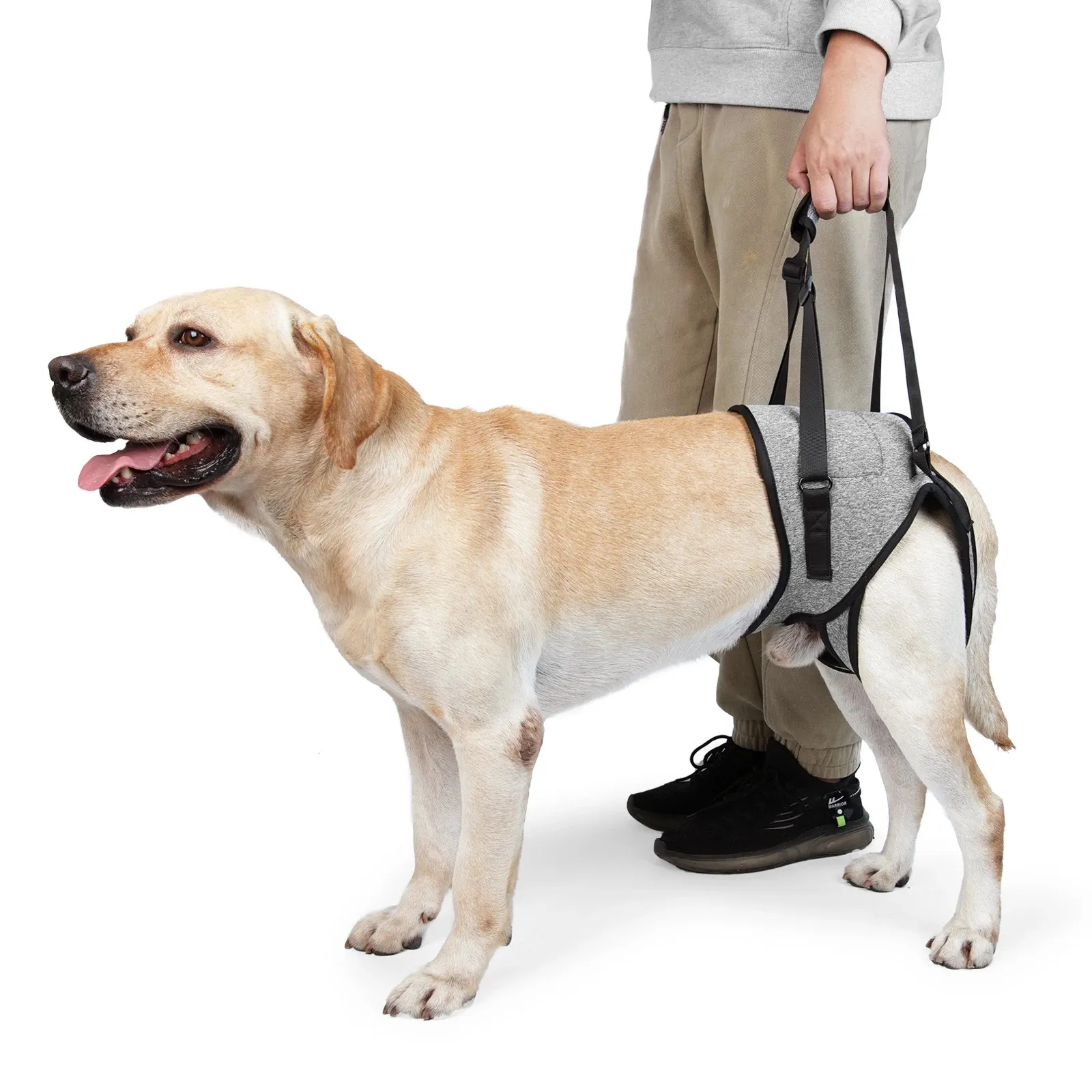 Harnais de levage pour chiens de grande taille, rembourré et réglable, sangle de jambe arrière pour chiens âgés, blessures articulaires, Support de jambe arrière pour animaux de compagnie 240115