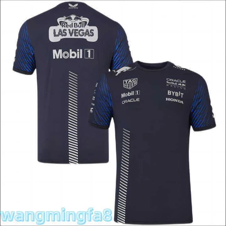 Camisetas para hombres 2024 Nuevo diseñador F1racing T-shirtt-shirt Equipo Racing Ciclismo Camisa Secado rápido Trabajo de verano Traje de coche Ropa deportiva de manga corta