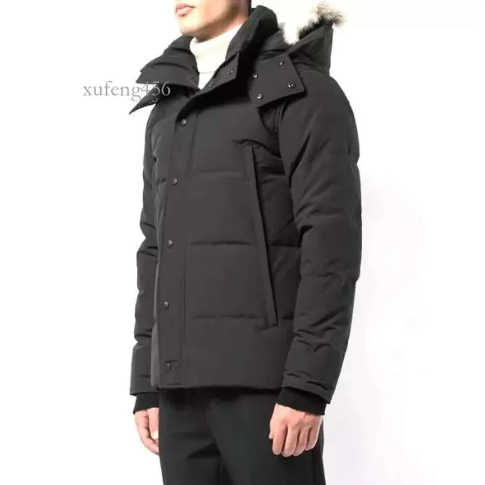 Inverno para baixo parka homme jassen chaquetas outerwear pele de lobo com capuz fourrure manteau wyndham canadá jaqueta casaco hiver doudoune masculino